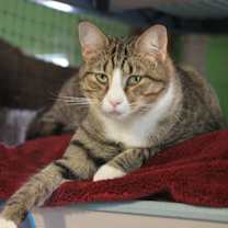 Thumbnail photo of Archer #2