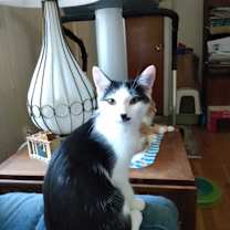 Thumbnail photo of melinda #3