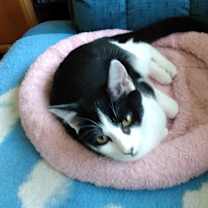 Thumbnail photo of Belinda #2