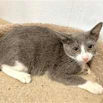 Thumbnail photo of Aaron #2