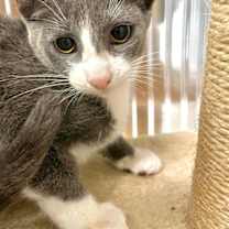 Thumbnail photo of Aaron #3