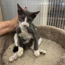 Thumbnail photo of Aaron #4