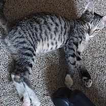 Thumbnail photo of Boots #1