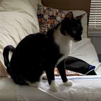 Thumbnail photo of Esmae #2