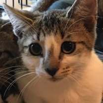 Thumbnail photo of Alice #2