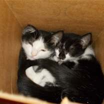 Thumbnail photo of Ted #4