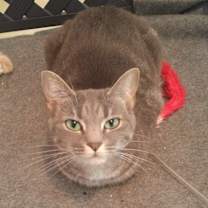 Thumbnail photo of Mindy #3