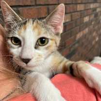 Thumbnail photo of C C #3