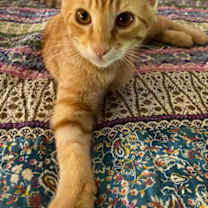 Thumbnail photo of Dude #1