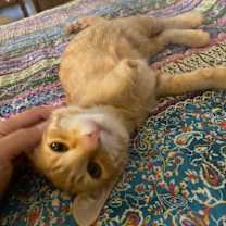 Thumbnail photo of Dude #2