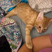 Thumbnail photo of Dude #3