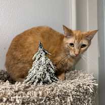 Thumbnail photo of Jimmy #2