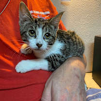 Thumbnail photo of Mariel #3