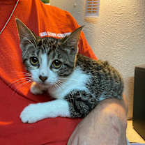 Thumbnail photo of Mariel #4
