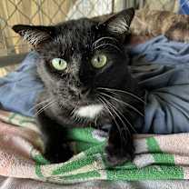 Thumbnail photo of Jax #1