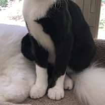 Thumbnail photo of Fritz #2