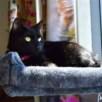 Thumbnail photo of Alexa #2