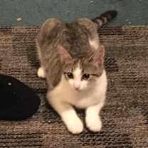 Thumbnail photo of Charlene #3