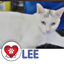 Thumbnail photo of Lee #1