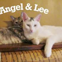 Thumbnail photo of Lee #3