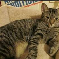 Thumbnail photo of Jasmine #2