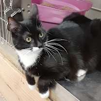 Thumbnail photo of Jenna #1