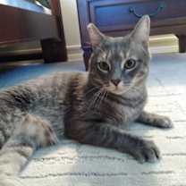 Thumbnail photo of Jamie #1