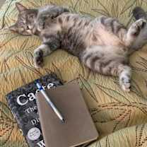 Thumbnail photo of Jamie #2