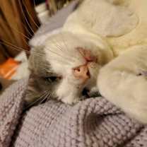 Thumbnail photo of Donny - I am a Talker! #3
