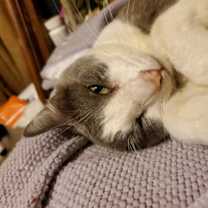 Thumbnail photo of Donny - I am a Talker! #4