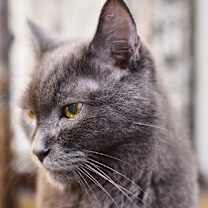 Thumbnail photo of Paolo #2