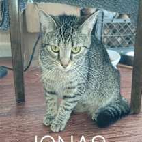 Thumbnail photo of Jonas #3