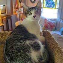 Thumbnail photo of Martha #1