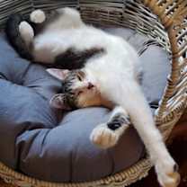 Thumbnail photo of Martha #2