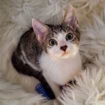 Thumbnail photo of Martha #3