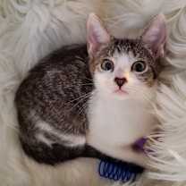 Thumbnail photo of Martha #4