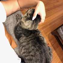 Thumbnail photo of Jimmy #2