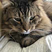 Thumbnail photo of Jimmy #3
