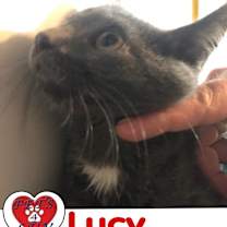 Thumbnail photo of Lucy - Bob #3