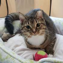 Thumbnail photo of Sprout #1