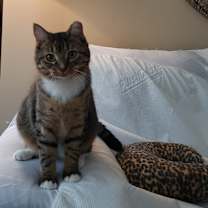 Thumbnail photo of Sprout #2