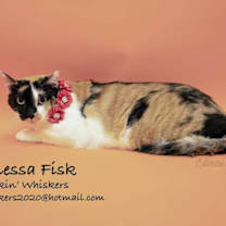 Thumbnail photo of VANESSA FISK #3