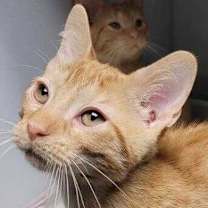 Thumbnail photo of Jack #1