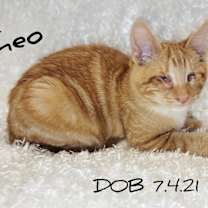 Thumbnail photo of Theo #1