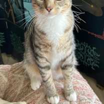 Thumbnail photo of Big boy #1