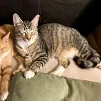 Thumbnail photo of Big boy #2