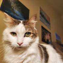 Thumbnail photo of Cookie L. #3