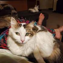 Thumbnail photo of Cookie L. #4