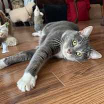 Thumbnail photo of KRISSY #2