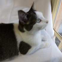 Thumbnail photo of Lucky Girl #1